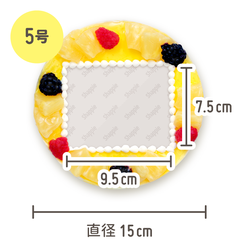 2wayアイスケーキ パイン 5号 4名様 写真ケーキ通販のshappie シャッピィ