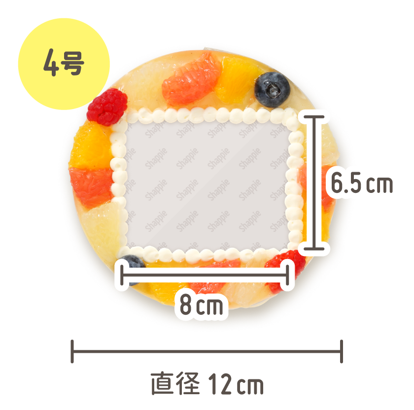 2wayアイスケーキ・バニラ：4号（2名様〜） | 写真ケーキ通販のshappie