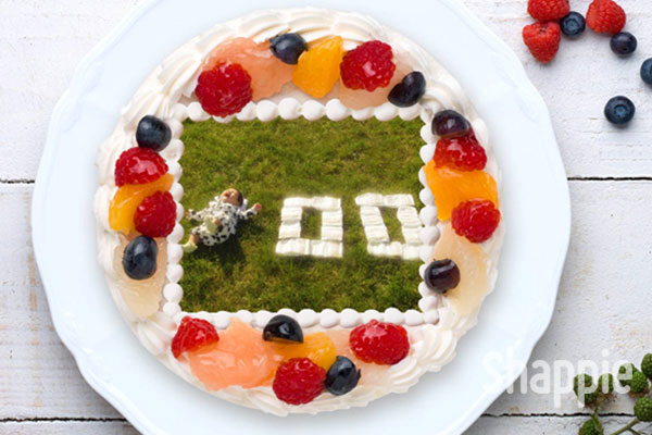 100日祝いのお食い初めは、写真ケーキでお祝い！【お食い初めケーキ 